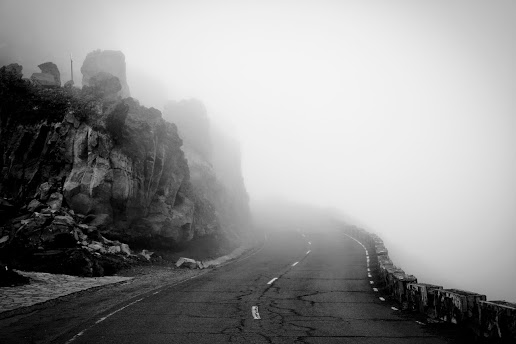 Senda y camino de Rocío Eslava